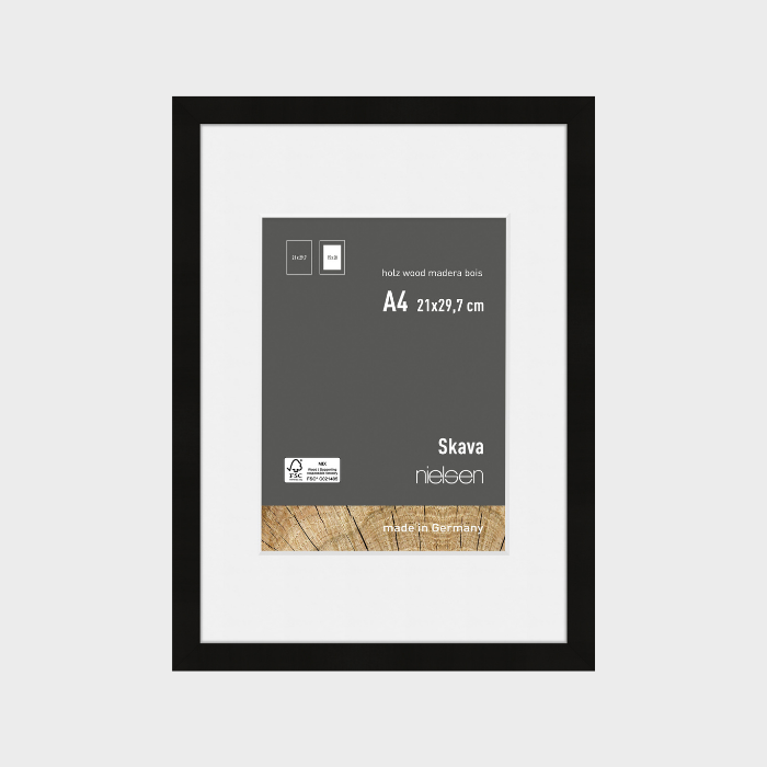 Frames With Mounts