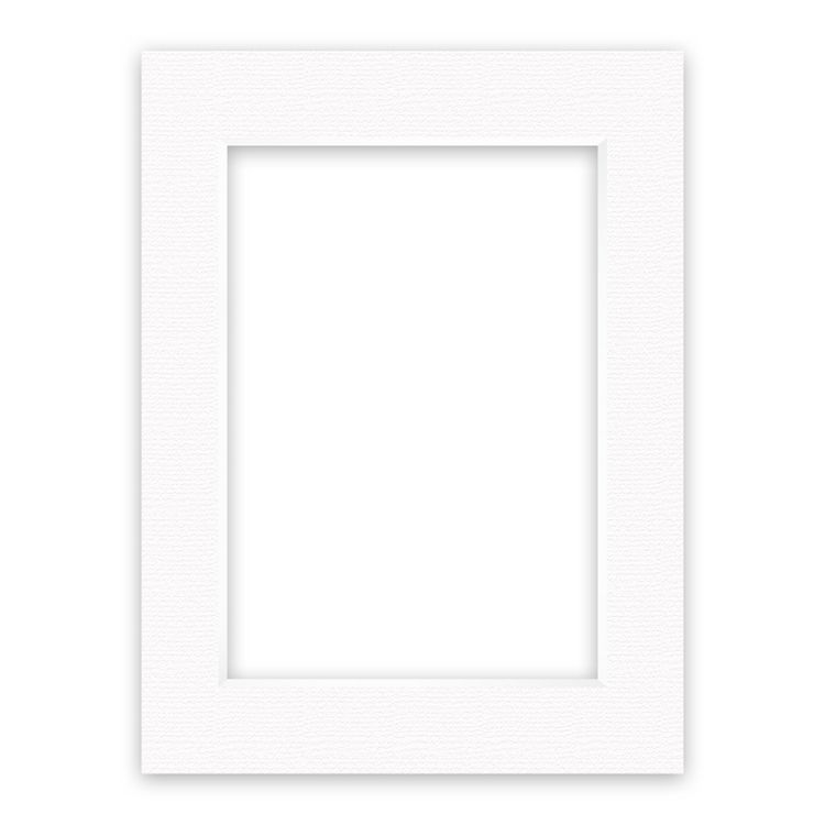 Conservation Picture Mounts